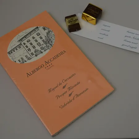 Hotel Accademia 4*