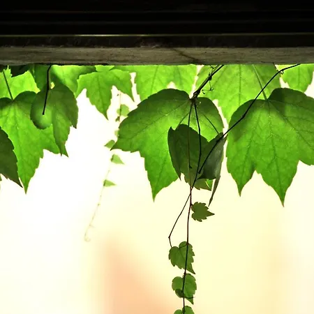 Hotel Accademia Trento