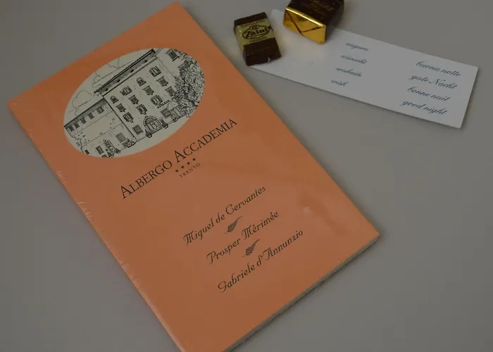 فندق Accademia 4*