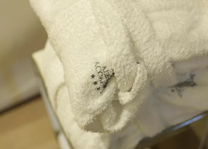 فندق Accademia 4*