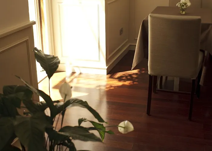 فندق Accademia ترينتو