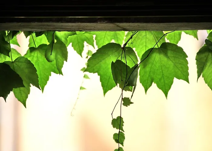 Szálloda Accademia Trento